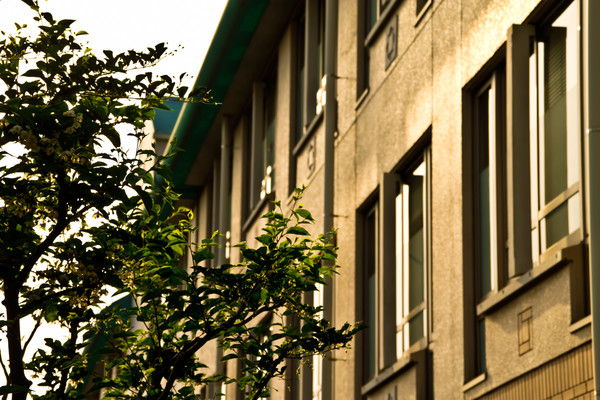Photo_8 Photo_8